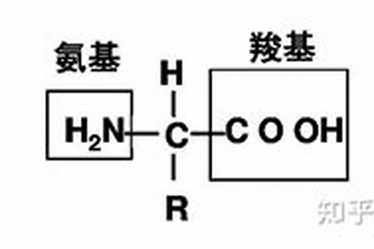 水稻施肥过量了,应该怎么办呢？
