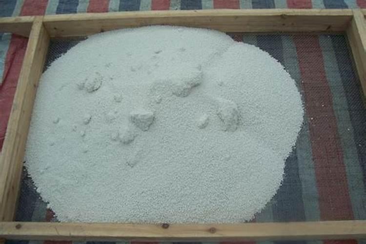 一盆心叶蔓绿绒多少钱