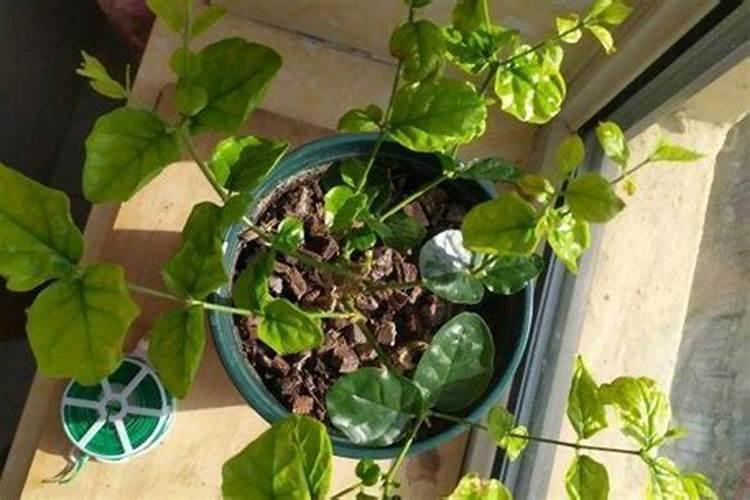 50年代至70年代行政级别工资待遇