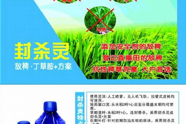 叶面肥什么时候用效果更显著、