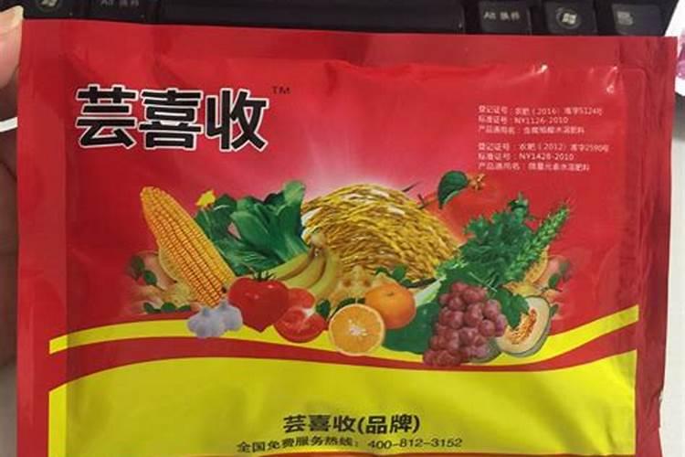 叶面肥怎么喷施才利于吸收