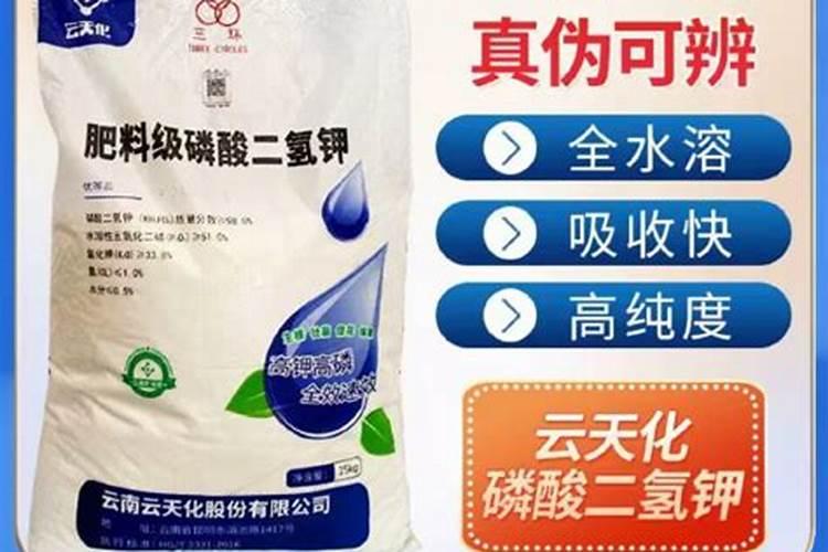 叶面肥都有哪些种类？不同种类的叶面肥怎么正确使用？