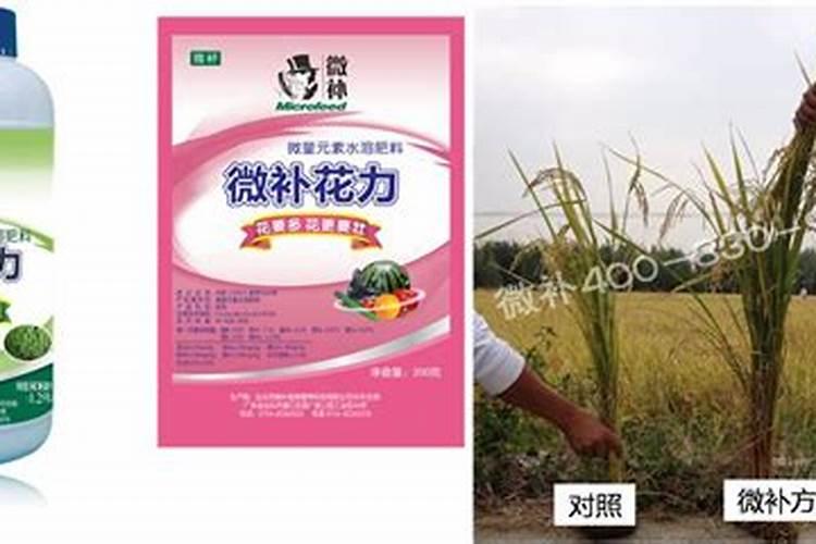 糖化硼放稻谷里有毒吗