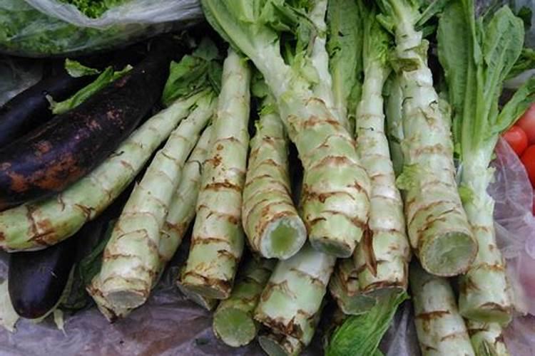 种植莴笋需谨记,怎样才不会烂茎干呢？