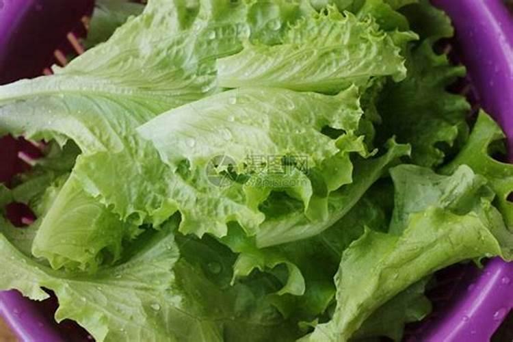 种莴笋如何施肥才能高产？