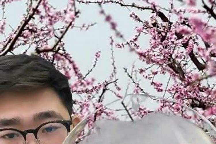 红富士什么季节成熟上市