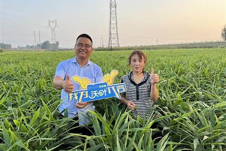 淄博鑫华有机肥料有限公司怎么样？