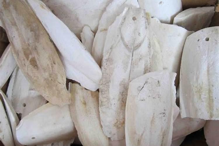 种水稻秧苗小能不能用碳氨？