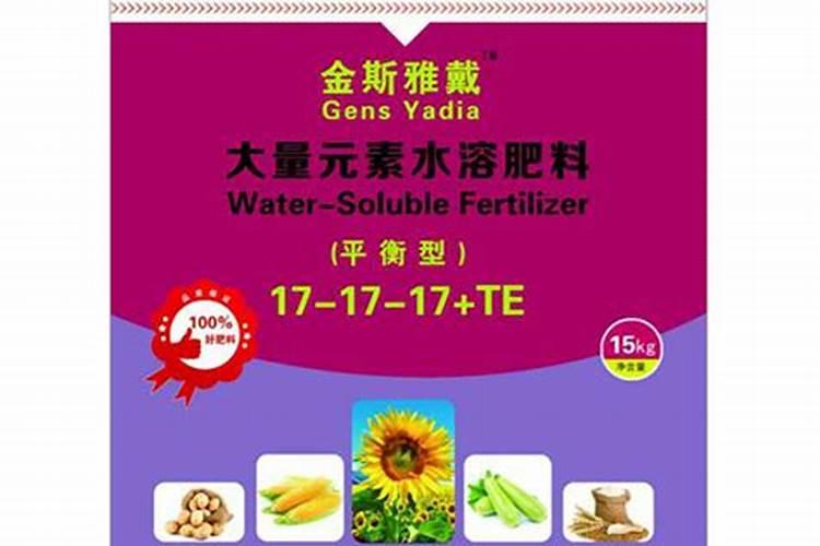 芥菜什么时候移栽最好