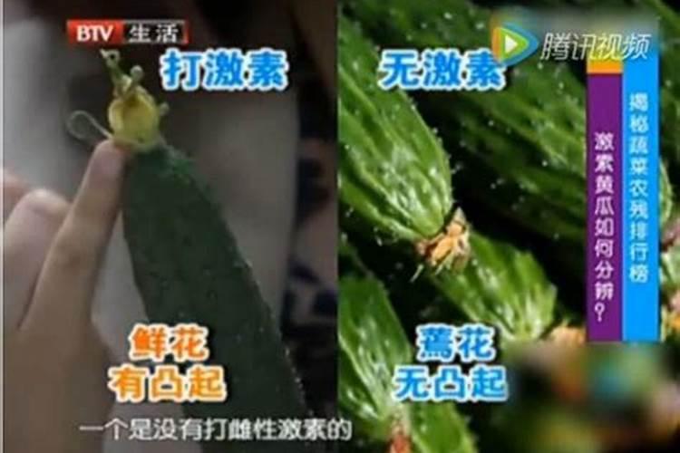 黄瓜打什么叶面肥黑绿