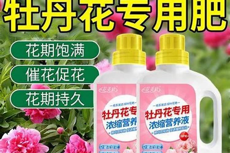 花生需要施什么肥结果多