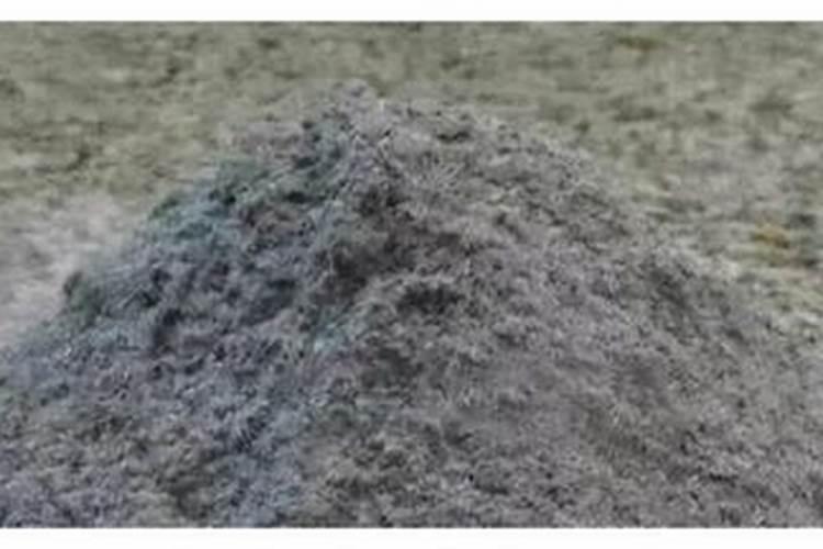 如何使用生根粉如何给新移栽的大树使用