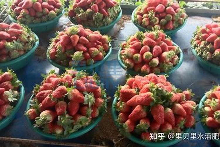 种西瓜用什么肥料,一亩地用多少？