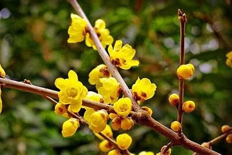 下雨天可以给花施肥吗