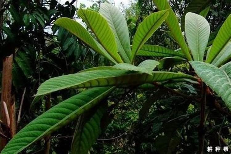 1969年10月23日是什么命