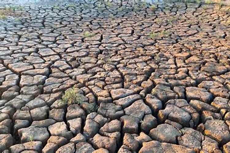 氮磷钾肥的作用