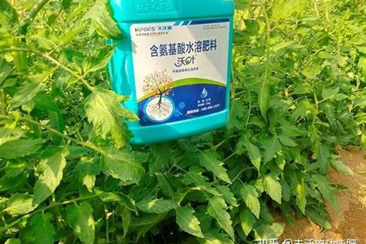 进口肥料和其国产有什么区别？