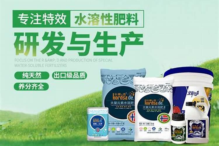 大棚蔬菜种植技术常见方式