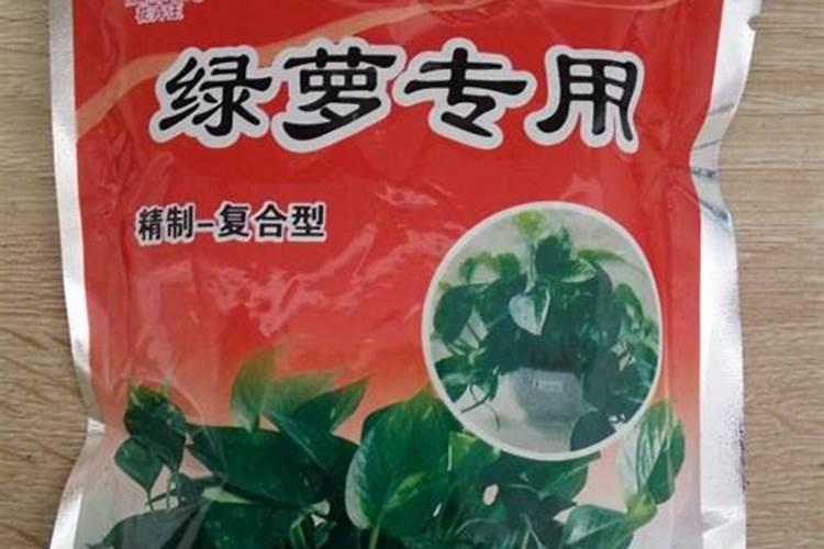 绿萝用什么肥料施肥？绿萝怎么施肥