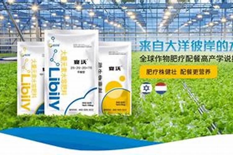 大豆种植是条播好还是穴播好？