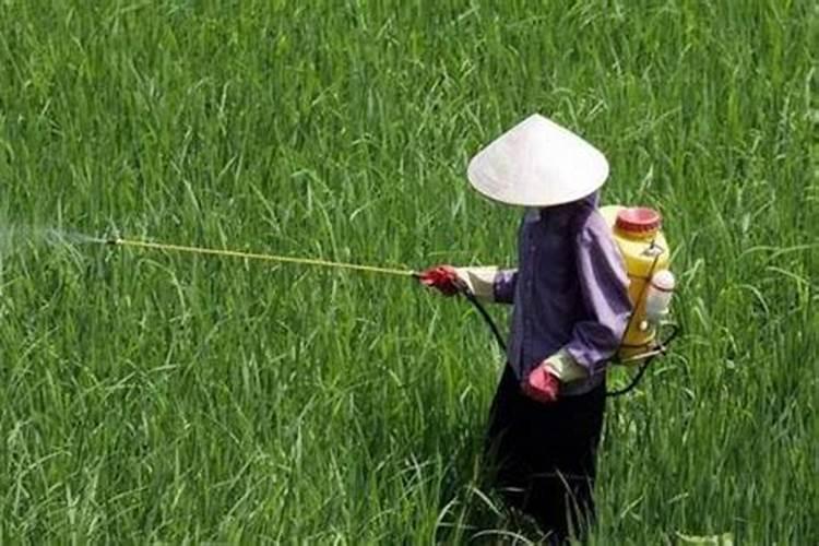 磷肥是什么肥料做成