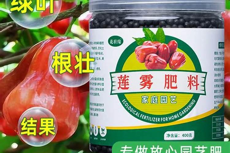 海洋鱼肽固体饮料能长期服用吗