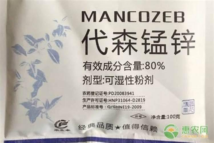 第一年栽的杨树怎么管理第一年栽的杨树的管理方法