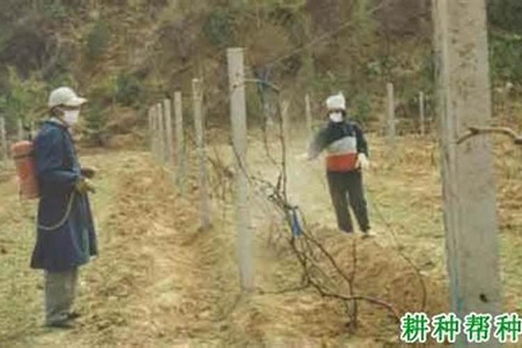 化学化肥不能搭配