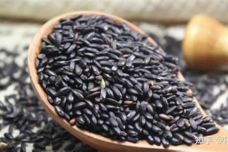 广寒宫多肉怎么养护好看