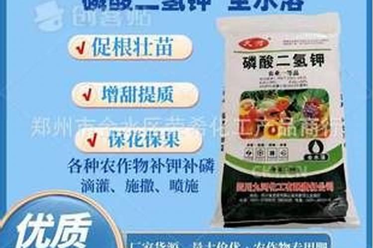 滴灌施用水溶肥时怎样才能起到最好的效果