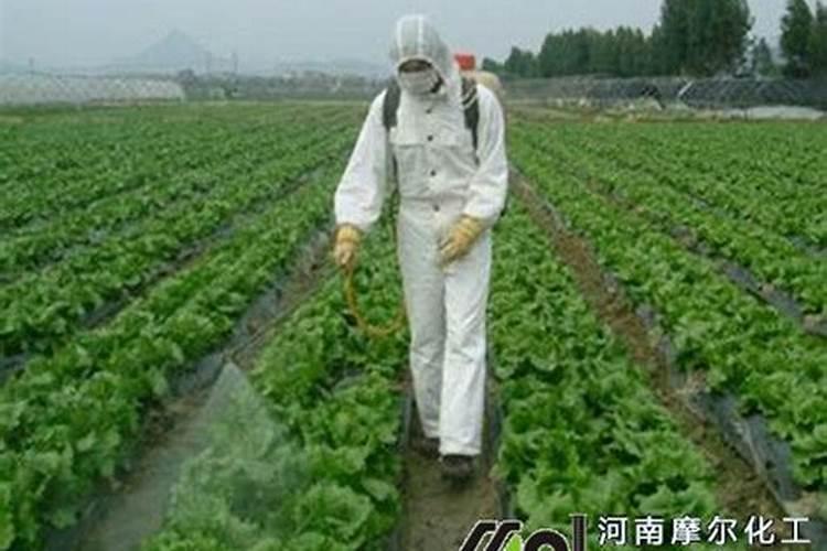 植物营养液怎么用