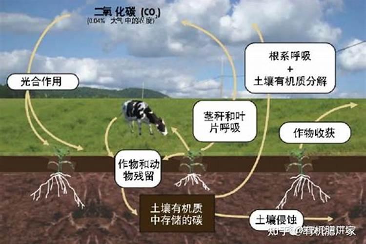 液肥有哪些