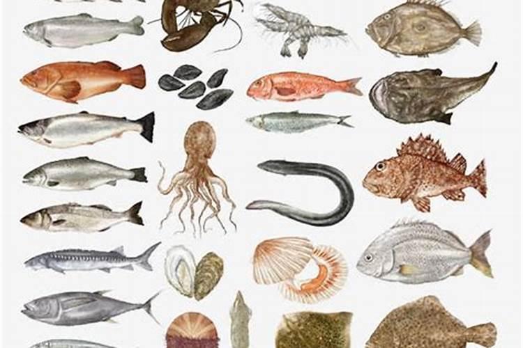 红玉的诅咒60层吃什么药