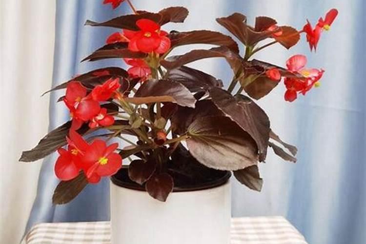 五谷杂粮各种米类豆类怎样保存才不会生虫子呢？是密封还是让其空气流通呢...