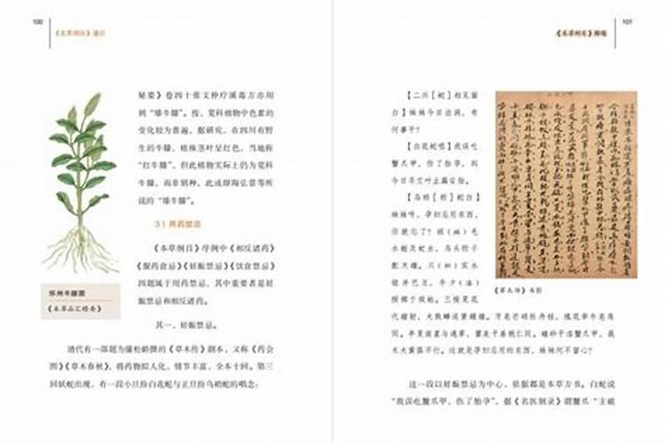 草木灰是什么肥料