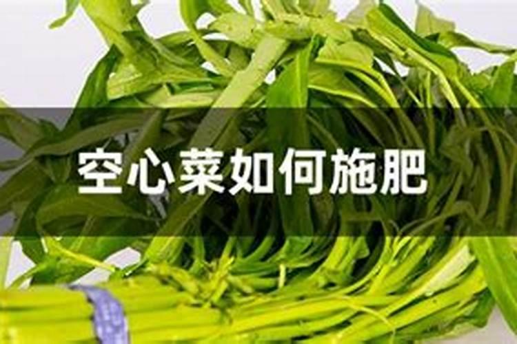 空心菜如何施肥