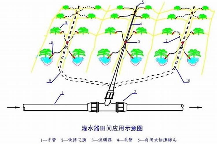 葡萄苗期应该用哪种肥料？葡萄种植专用也忙怎么用合适？