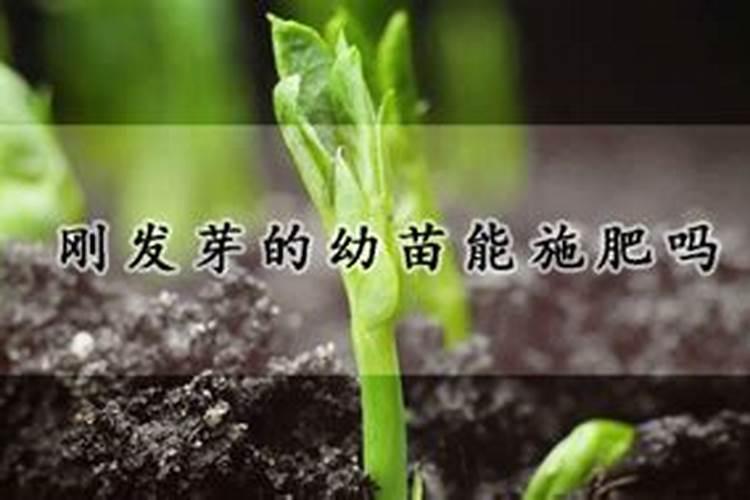 磷肥是什么原料做的