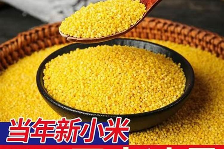 钙镁硼铁锌肥的最佳使用时期