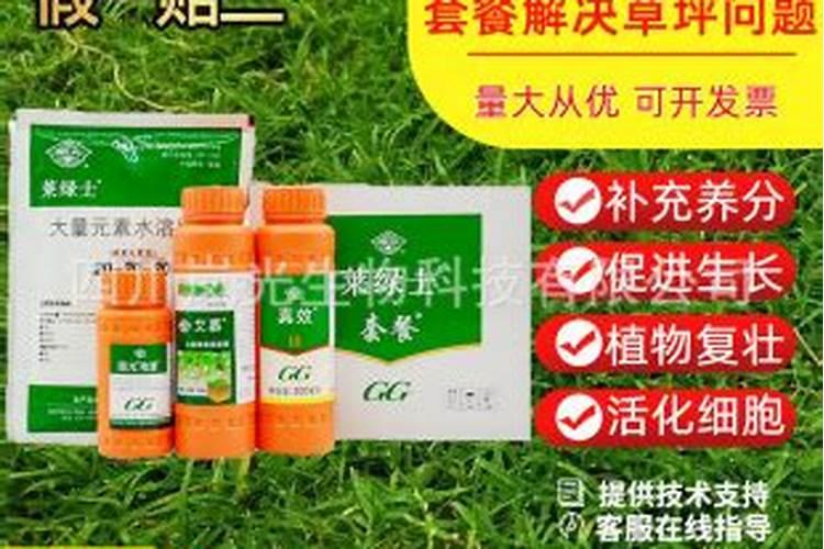 国光四高氨基酸叶面肥怎么样