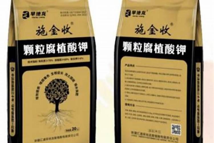 大棚蔬西红柿、黄瓜、茄子点花蘸花技巧及注意事项