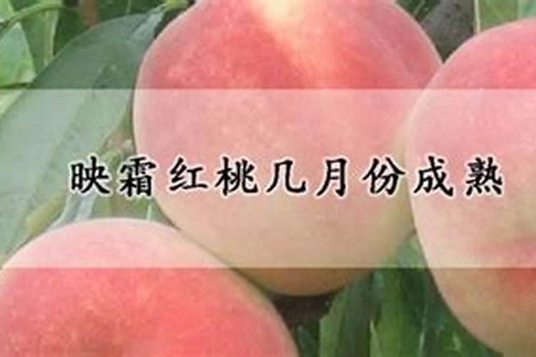 映霜红桃的施肥时期有哪几种