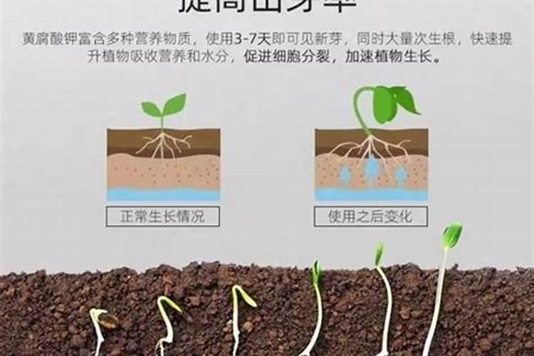 黄腐酸钾如何使用,含钾量是多少？