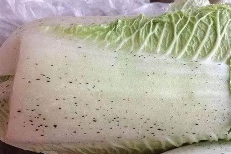 钾肥施什么肥