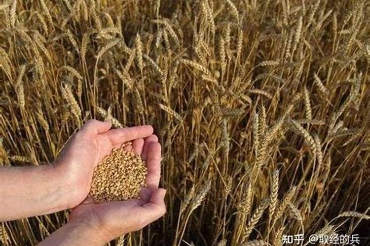 矿源腐植酸钾能和复合肥混用吗