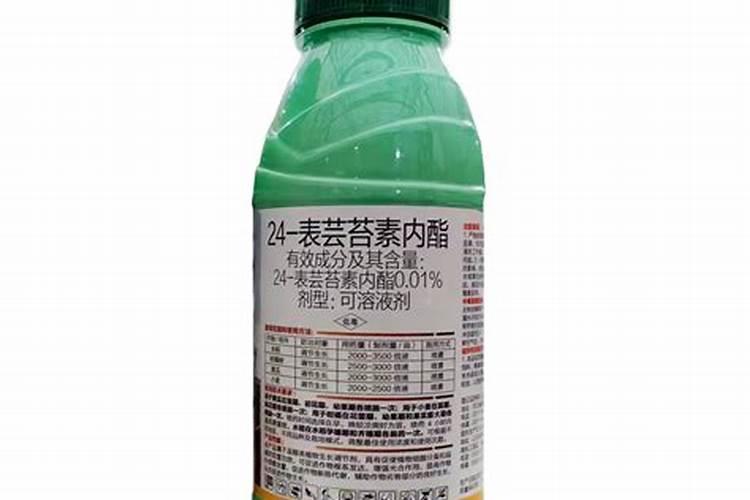 种槟榔树施什么肥