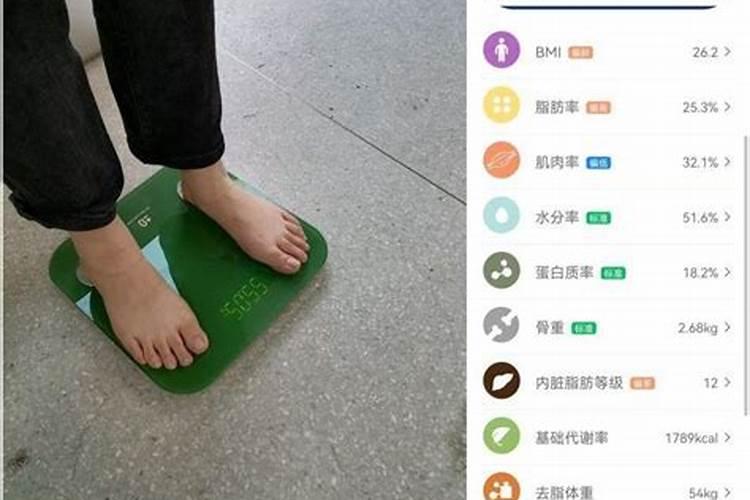 芙蓉花花期可以施肥吗 怎么施肥