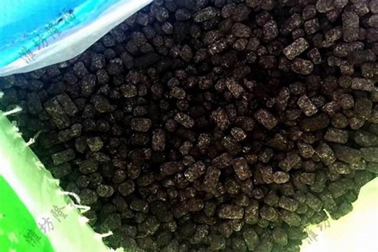 荷兰豆的豆荚不绿需要补充什么肥料？