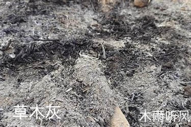 草木灰能和化肥同时用吗