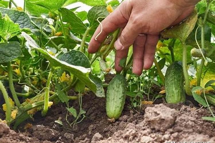 造成土壤污染的原因除了大量使用化肥外还有什么？